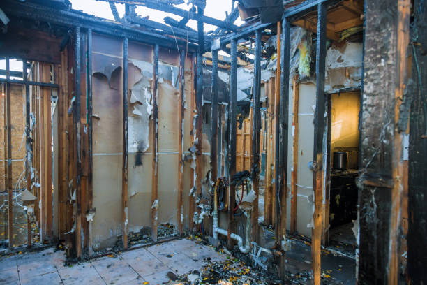 Professional Fire Damage Repair technician working in Pease, MN